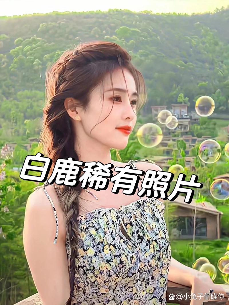白鹿
